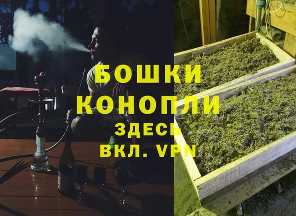 твердый Аркадак